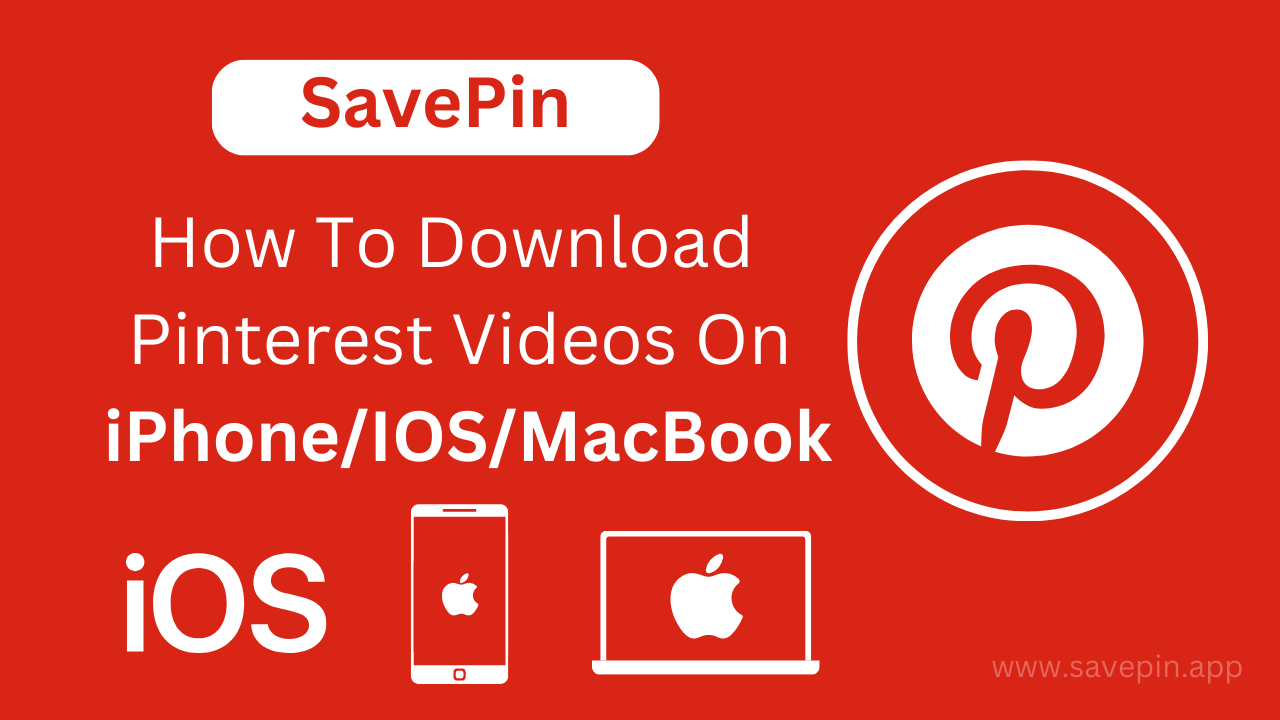 Pinterest Video Downloader - Download Pinterest Videos & Gifs